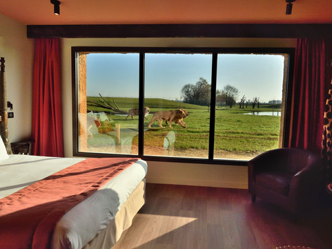 Le Royaume Des Lions