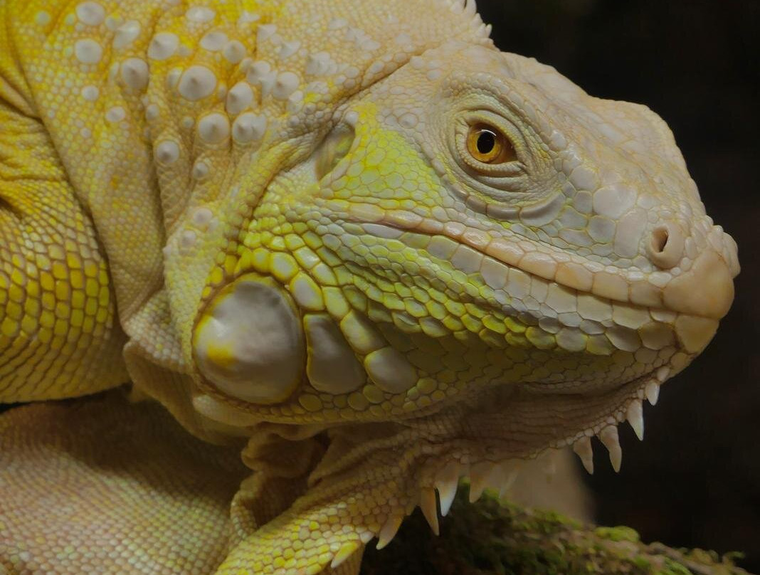 Padiparc - Parc Zoologique-Padirac必去景点
