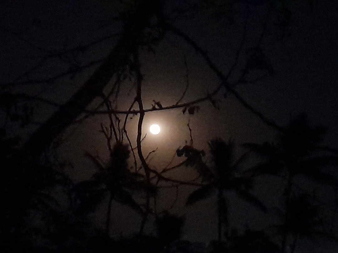 Jiraan, The Retreat主图