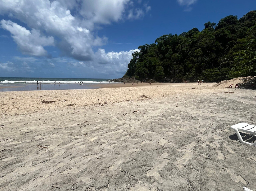 Ribeira Beach-Itacare必去景点