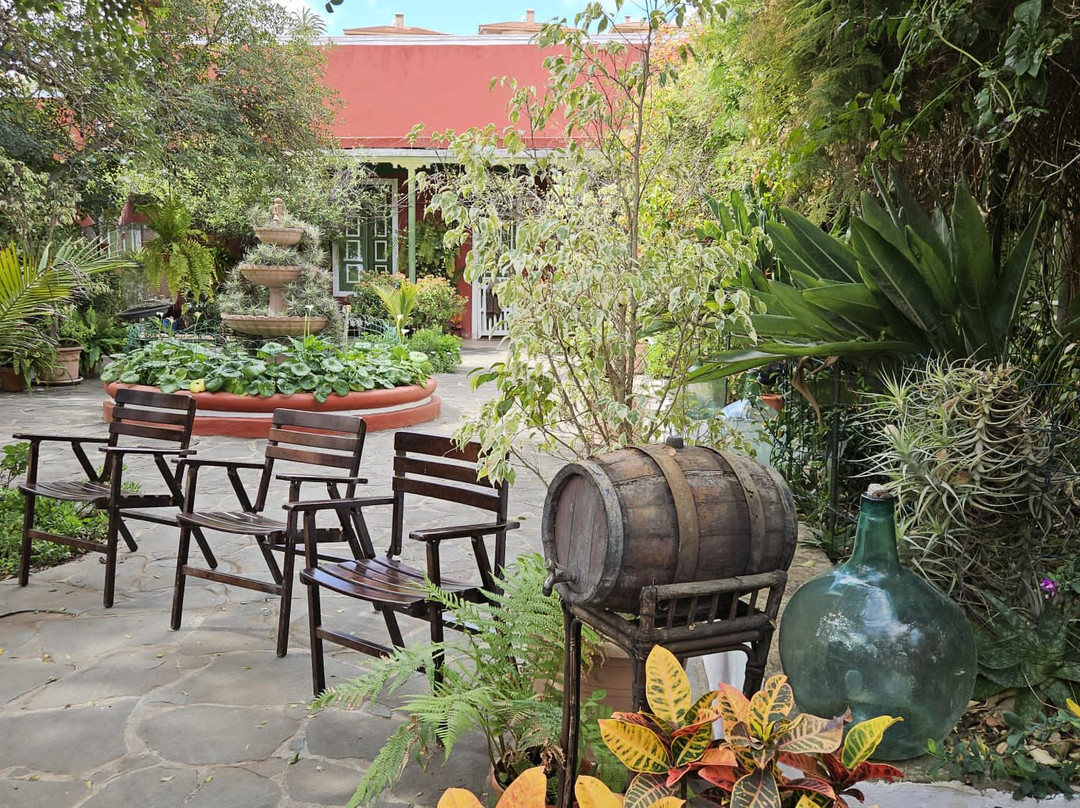 Bodega San Juan - Museo del Vino景点图片