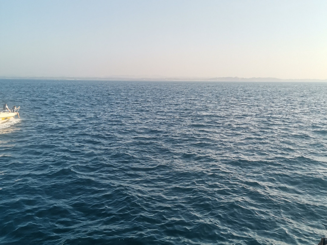 Nathalia Cruise-美蕊沙必去景点