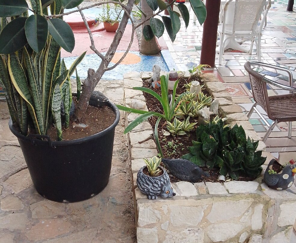 Casa Valido y Surami主图