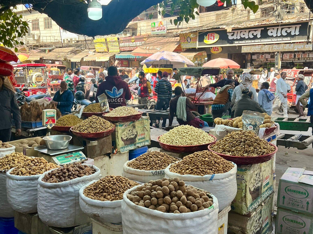 Driver India By Yogi Private Tours-焦特布尔必去景点