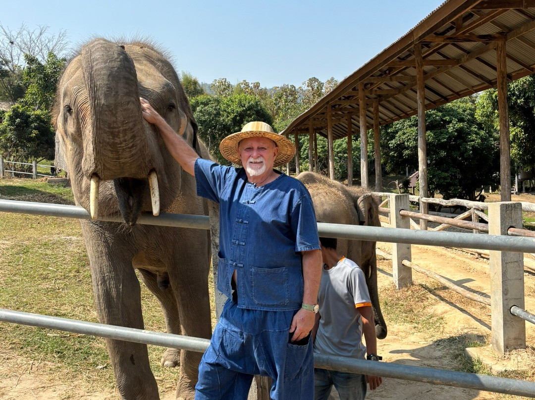 Thai Elephant Care Center-夜林必去景点