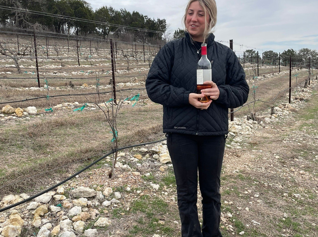 Valley Mills Vineyards-韦科必去景点