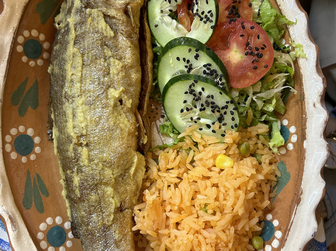 Hotel Campestre Imperial主图