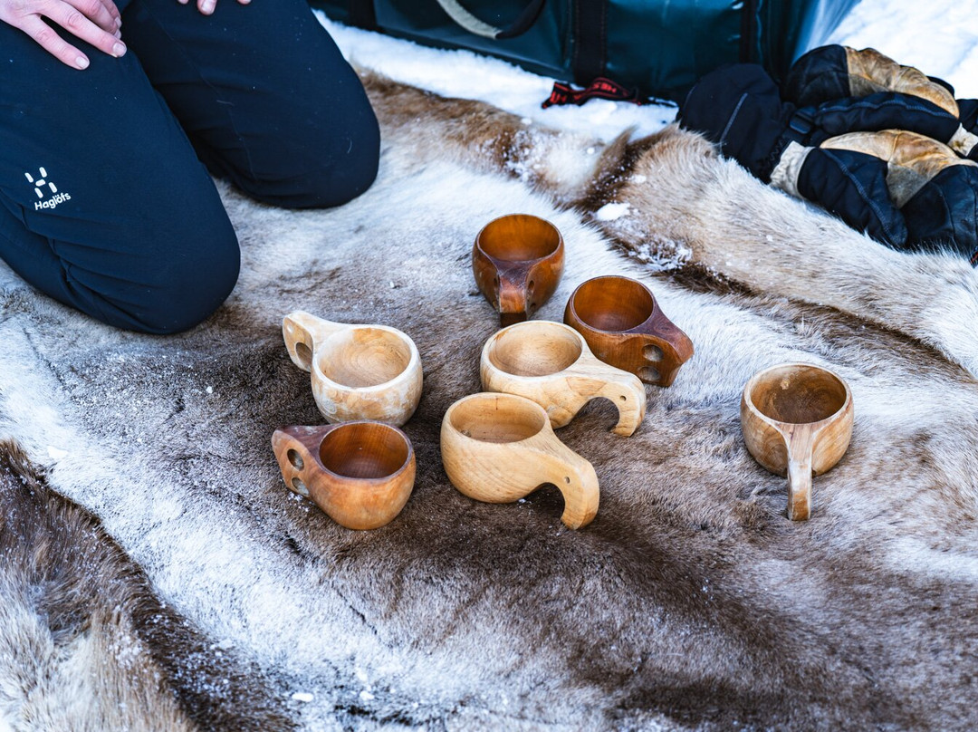 拉普兰极光&摄影之旅景点图片