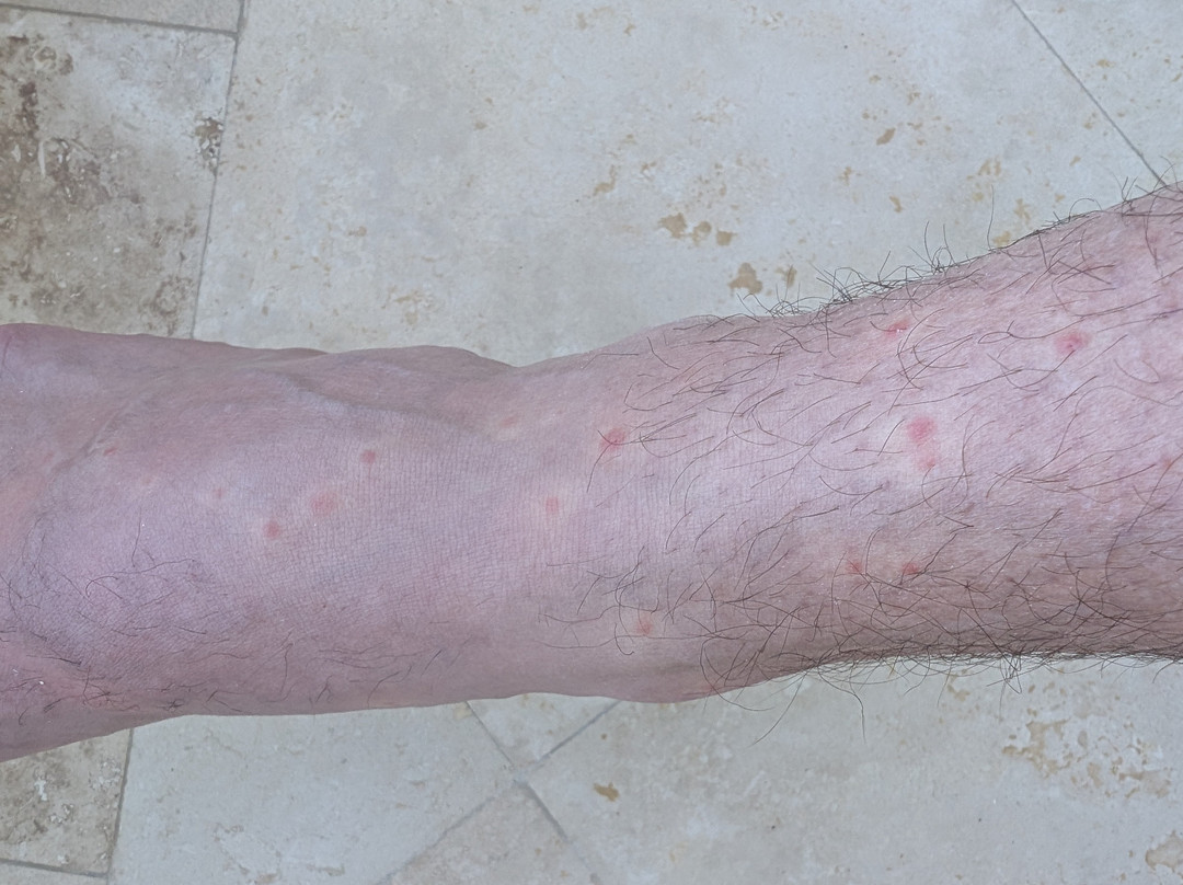 The Shore Club Turks & Caicos主图