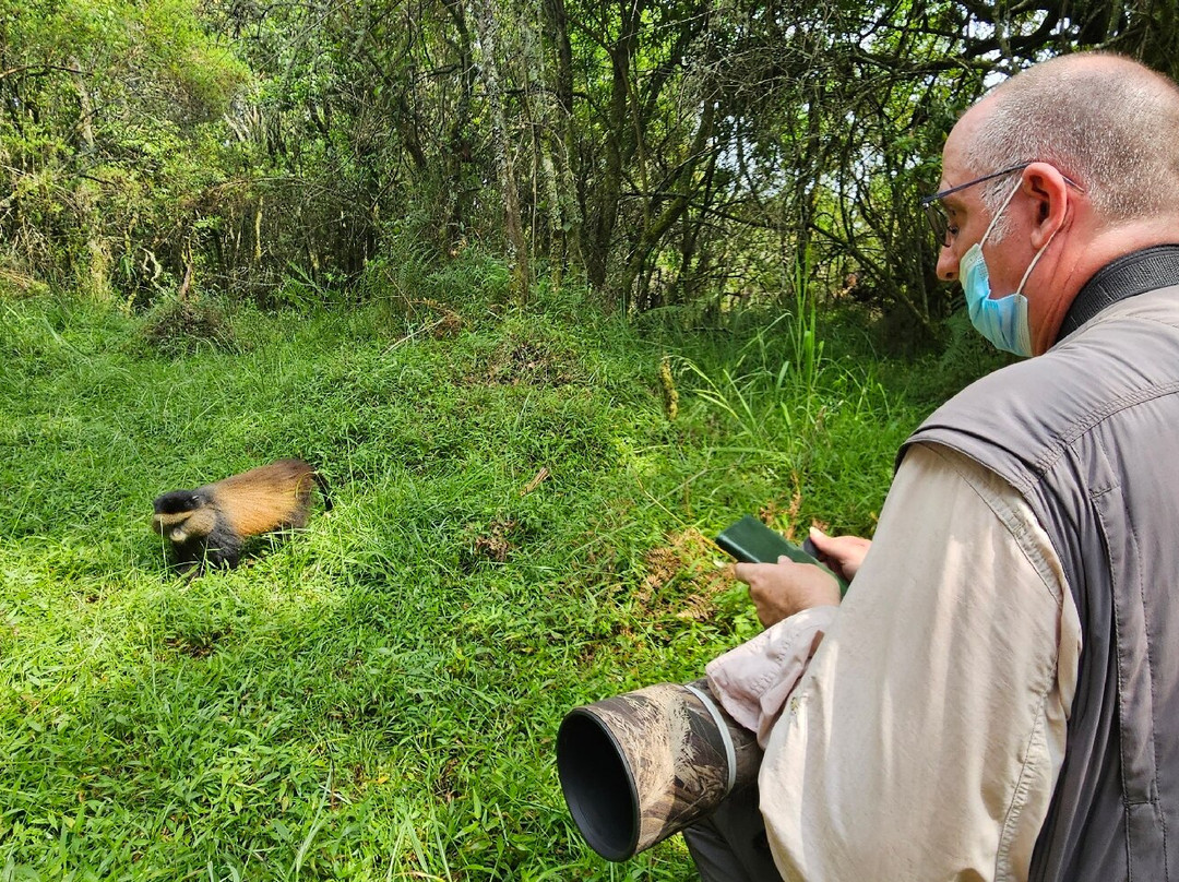 Mgahinga Gorilla National Park-Kisoro必去景点