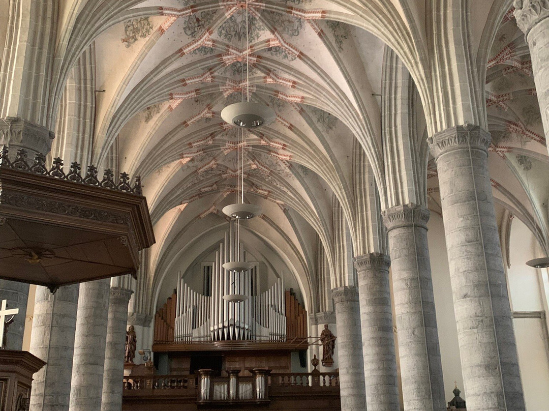 Sint Martinuskerk-Weert必去景点