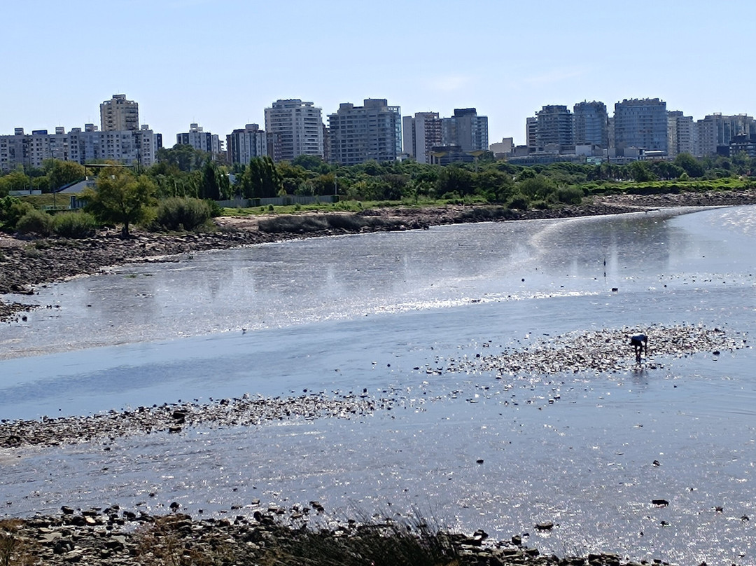 Reserva Ecológica Vicente Lopez-Vicente Lopez必去景点