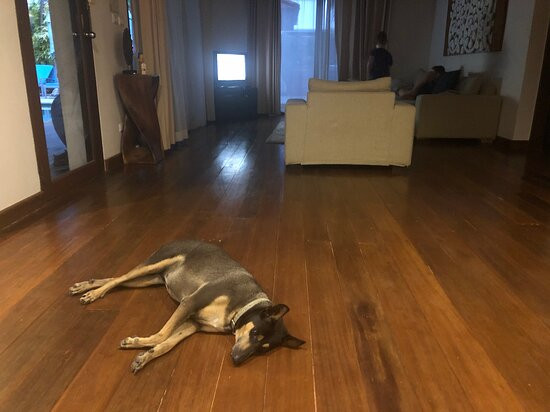 苏梅岛海滩度假村主图