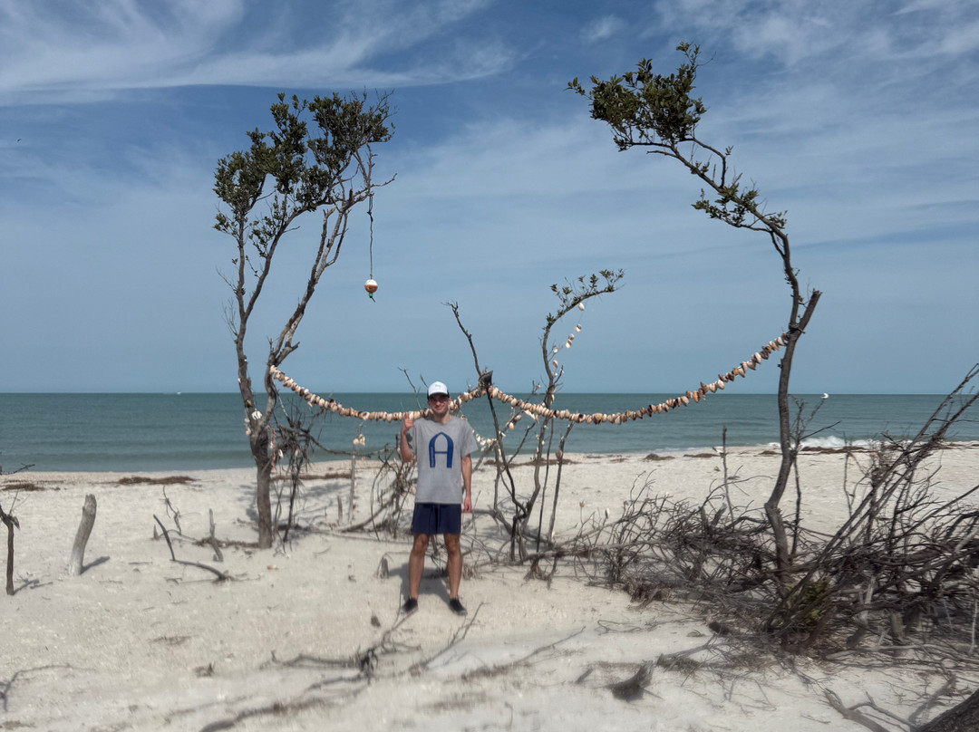 Paddle Out Adventures-克利尔沃特必去景点