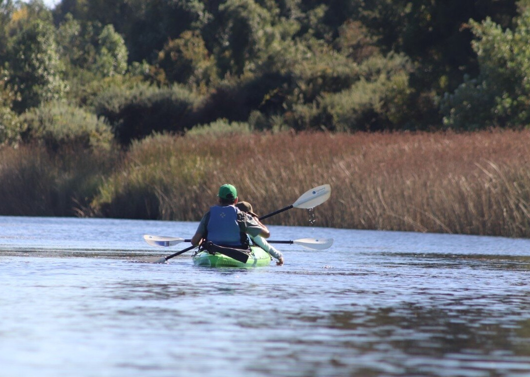 Rio Vivo-瓦尔迪维亚必去景点