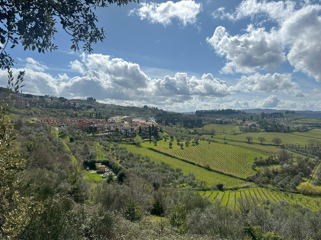 Scenic wine tours in Tuscany-Loro Ciuffenna必去景点