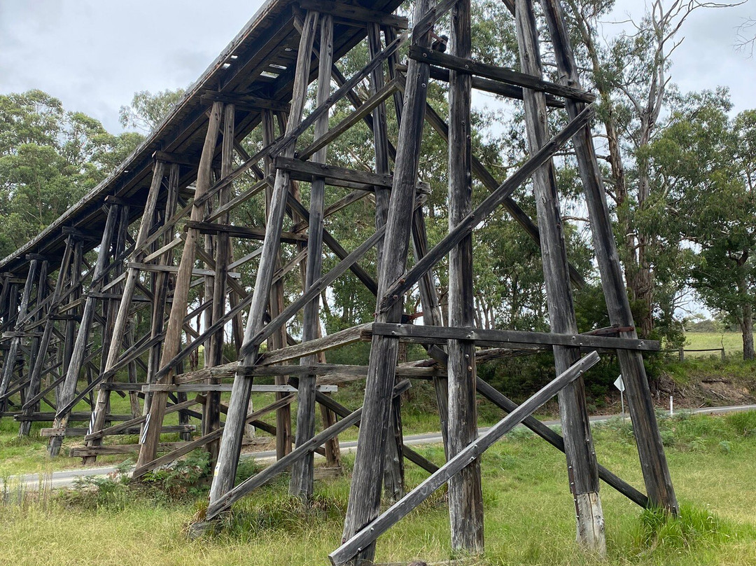 Wairewa Trestle Rail Bridge-Nowa Nowa必去景点