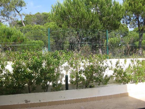 Ria Plaza Resort主图