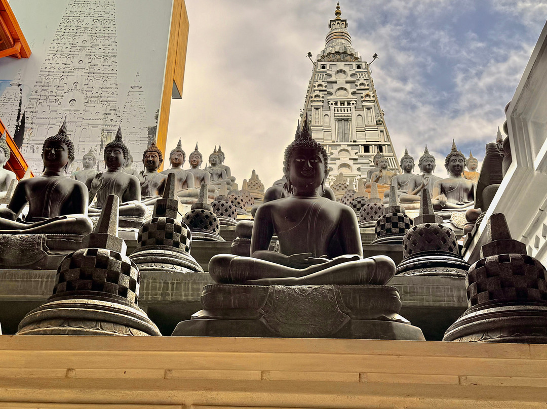 ceylon amaya tours景点图片