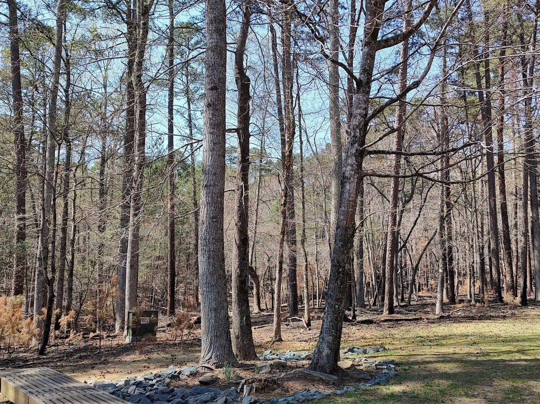 Morrow Mountain State Park景点图片
