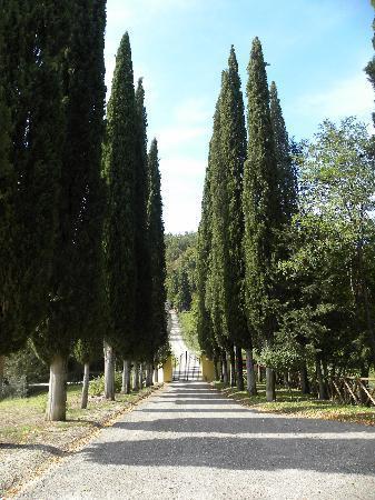 Borgo San Fedele主图
