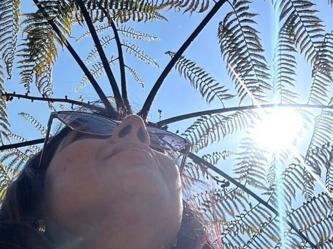 Baizus Holidays-Sungava必去景点