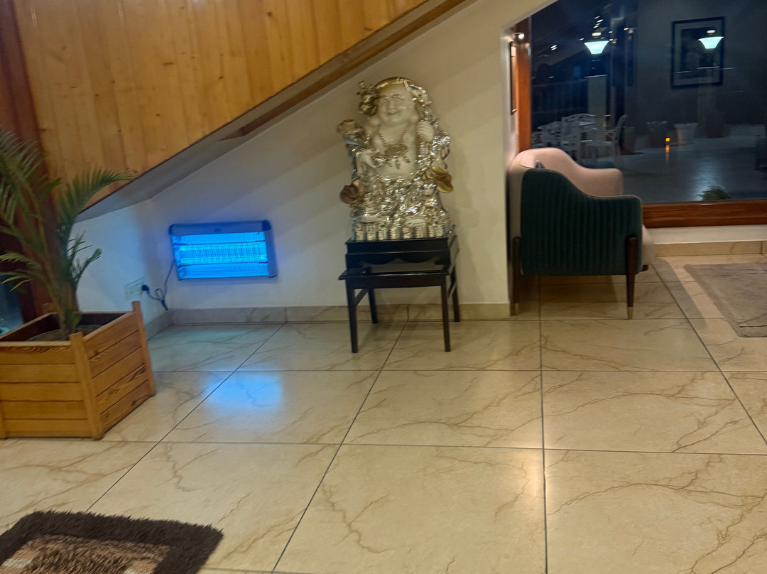 JK Clarks Exotica Dalhousie主图