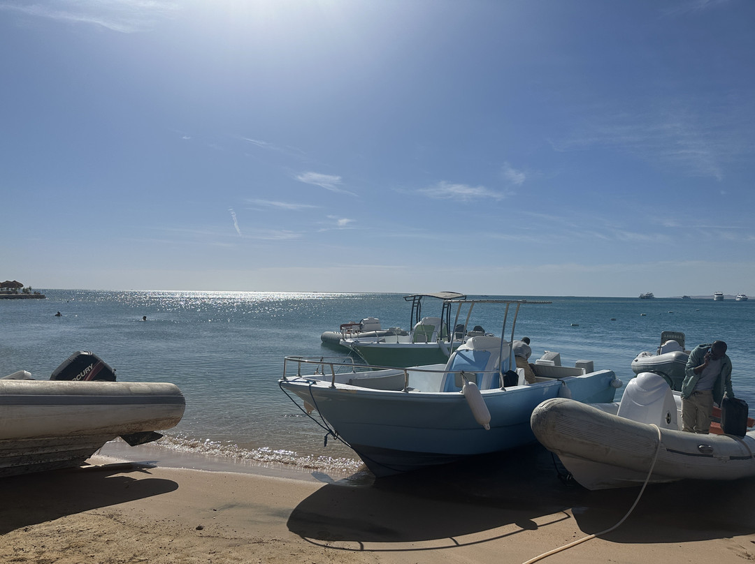 Dive with Luka-赫尔格达必去景点