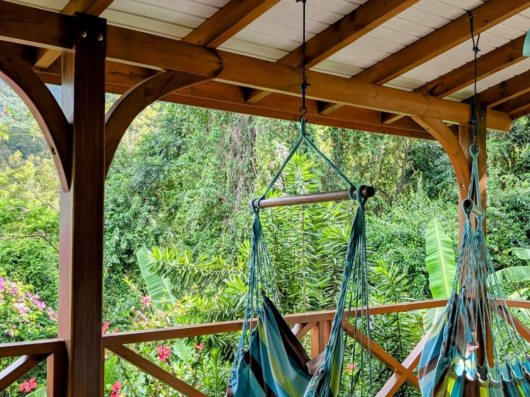 Domaine du Piton Bellevue主图