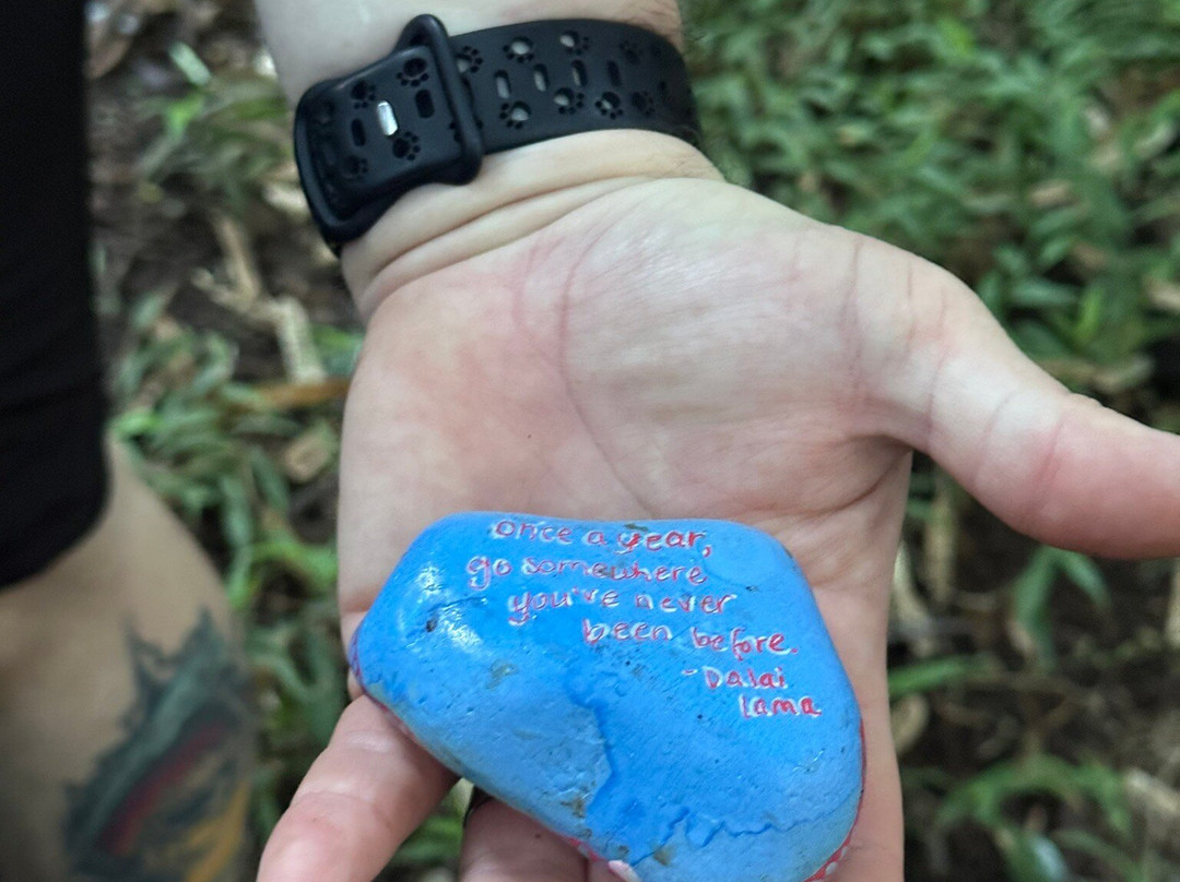 Waimano Ridge Trail-珍珠市必去景点