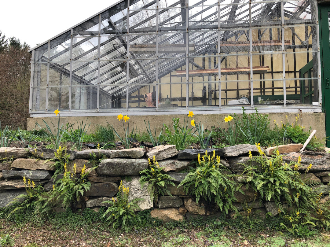 Bartlett Arboretum-斯坦福必去景点