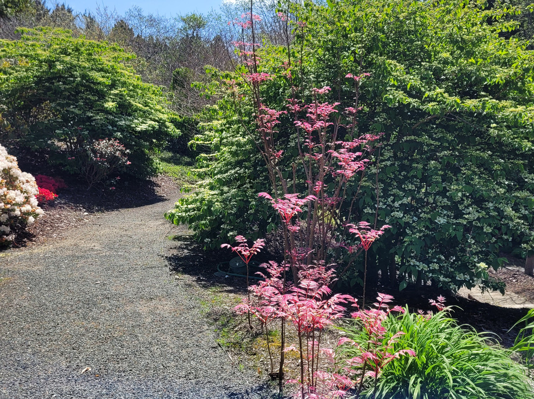 Humboldt Botanical Garden-尤里卡必去景点