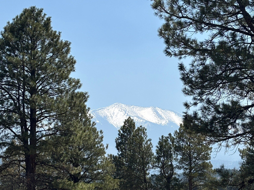 Kendrick Park Nature Trail-弗拉格斯塔夫必去景点
