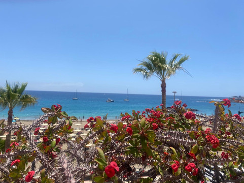 Claddagh-洛斯克里斯蒂亚诺斯必去景点