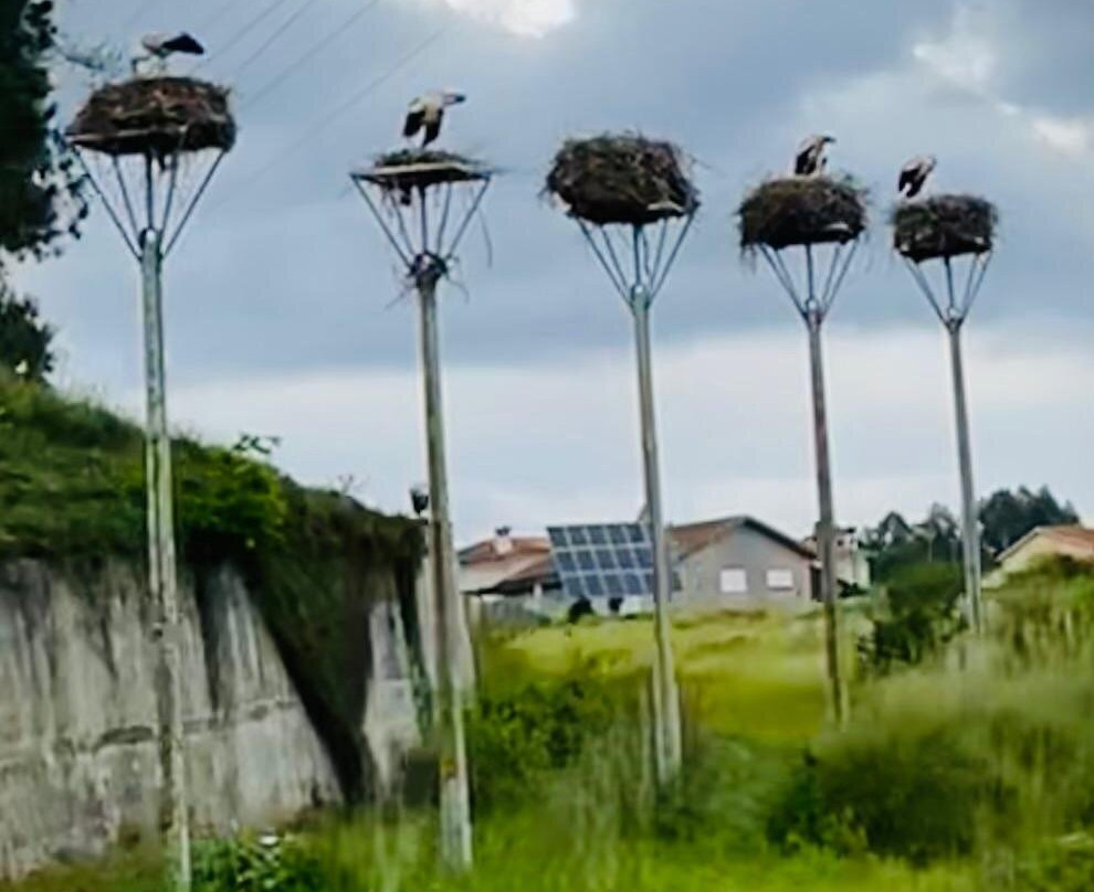 Plainsight-波尔图必去景点