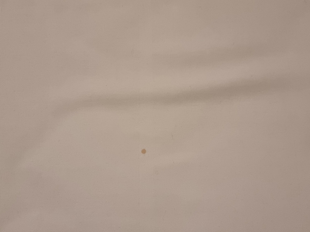 斯卡特托马斯酒店主图