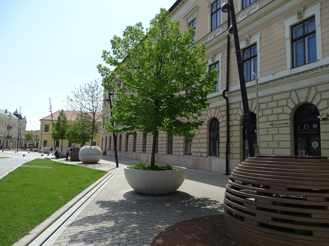 Dósa Nádor Téri Park景点图片
