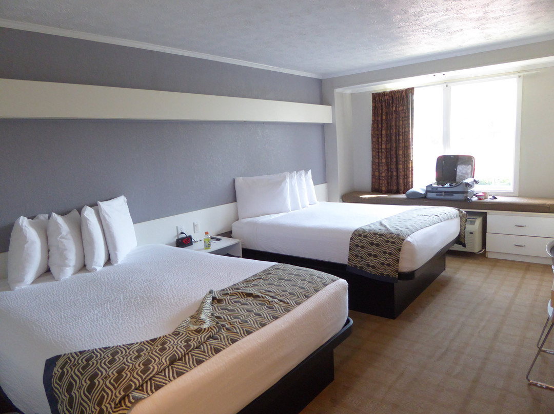 Microtel Inn & Suites by Wyndham Wilson主图