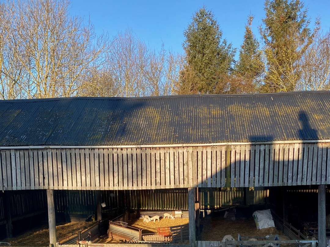 Rye Hill Farm主图