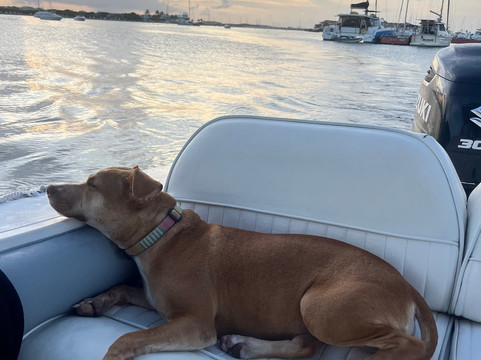 Suneeta Boat Charter-辛普森湾必去景点