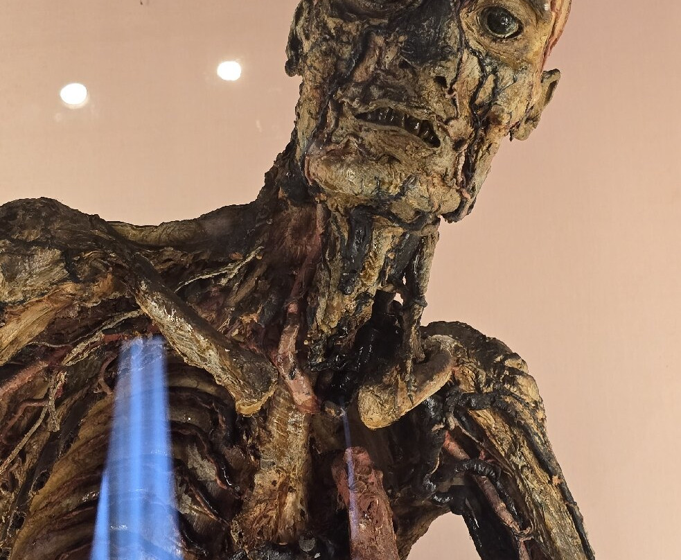 MUSA - Museo Universitario delle Scienze e delle Arti-那不勒斯必去景点