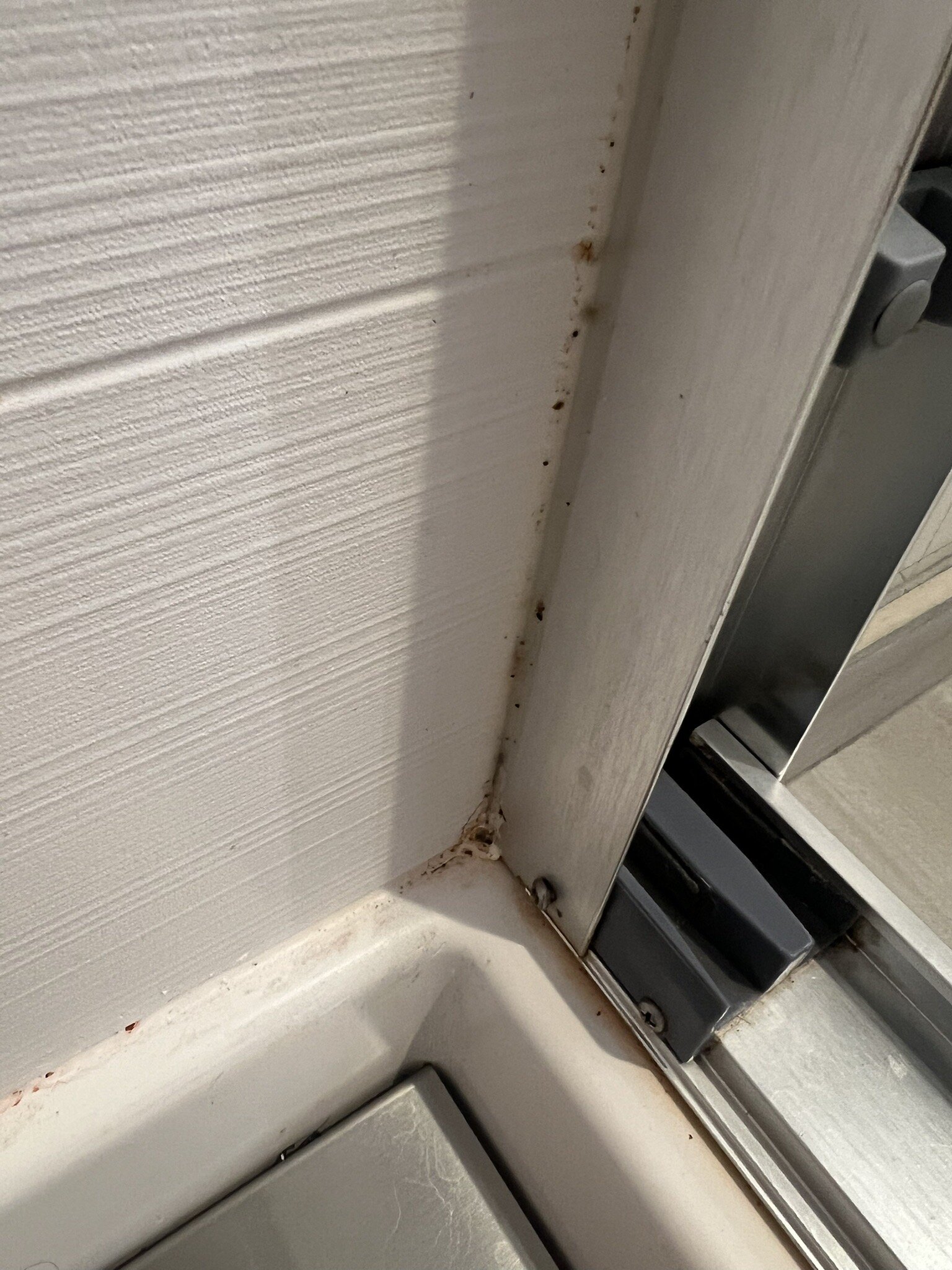 Holiday Inn Express & Suites Charlottesville By IHG-官方