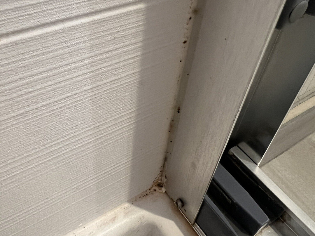 Holiday Inn Express & Suites Charlottesville By IHG主图