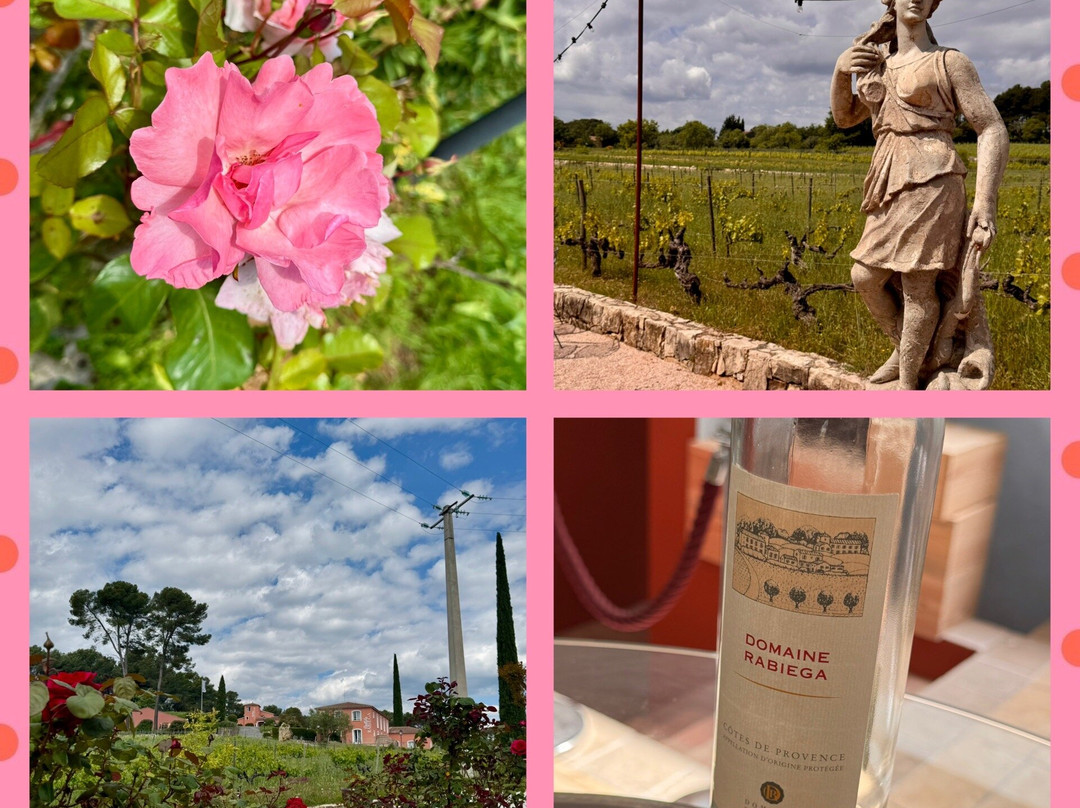 Domaine Rabiega主图