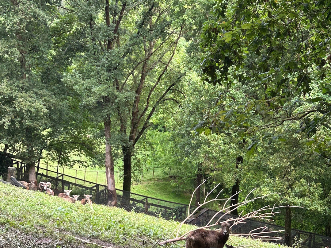 Basondo-Kortezubi必去景点