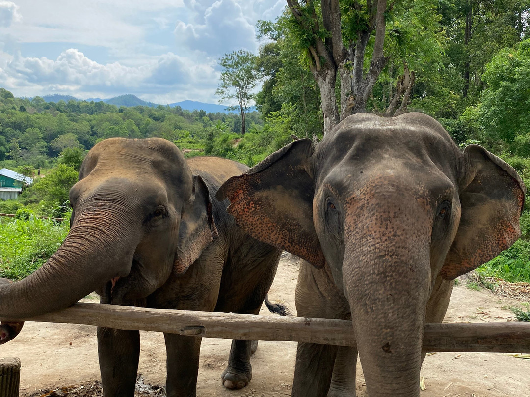 Chailai Orchid-清迈必去景点