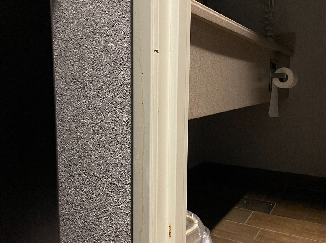 Baymont by Wyndham Savannah/Garden City主图