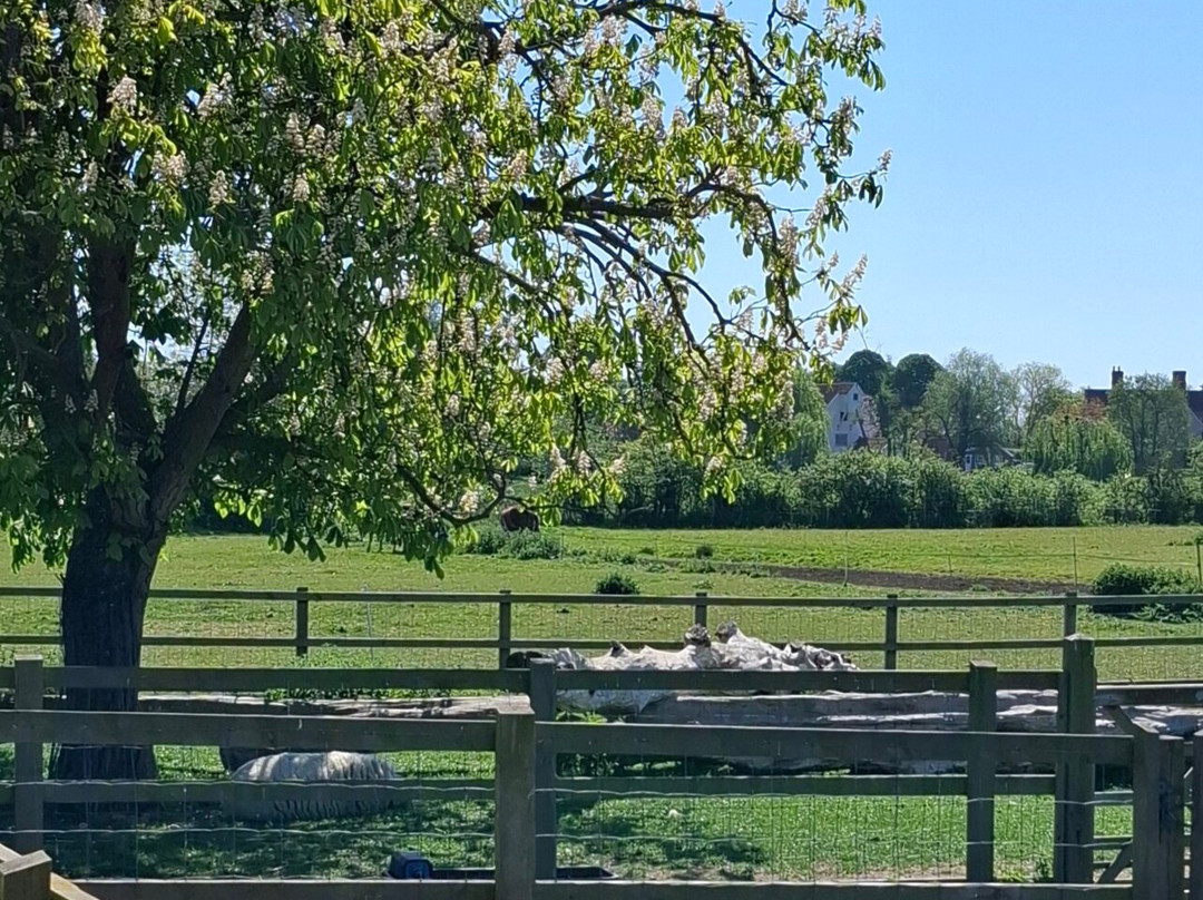 Easton Farm Park景点图片