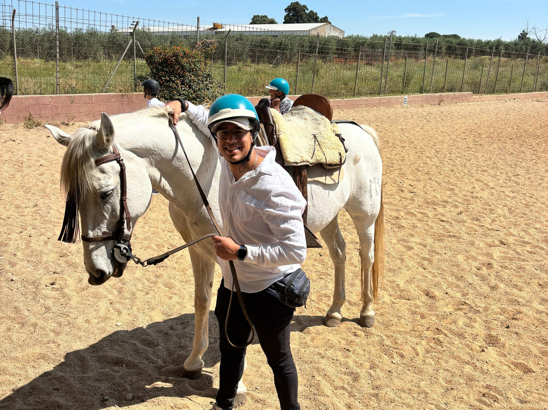 Centro Ecuestre Entrepinares-塞维利亚必去景点