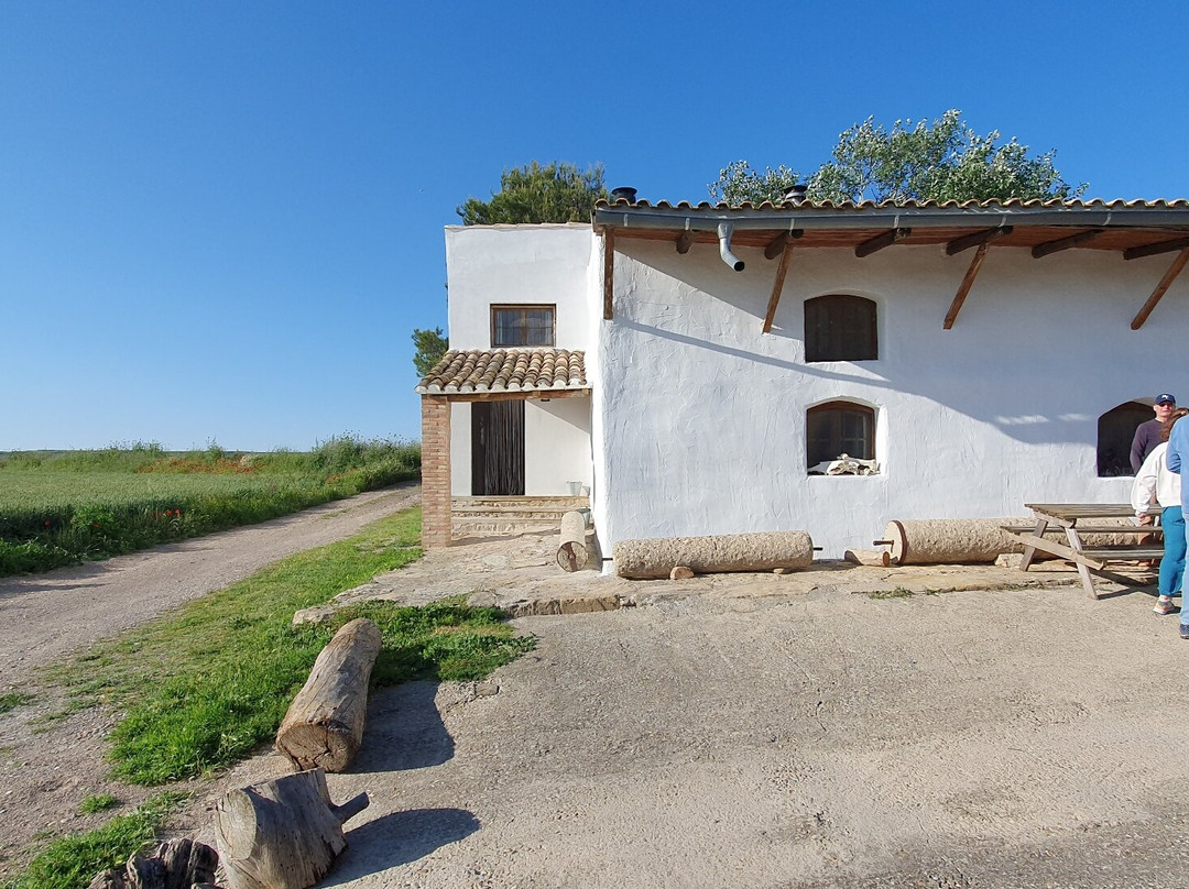 Bardenas Aventure-Arguedas必去景点